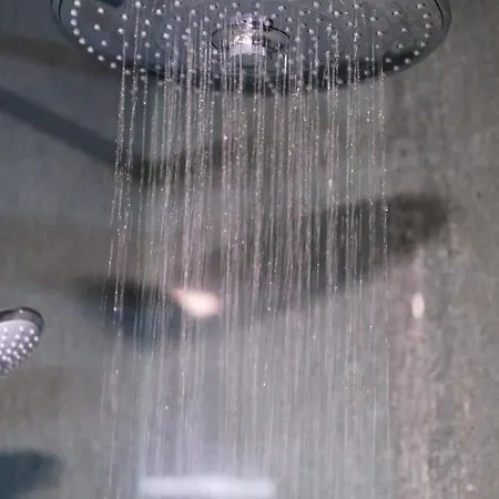 Olive Shade - Near The 아파트 *