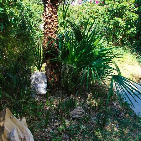 Apartment Olive Shade - Near The *