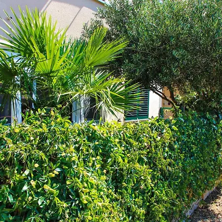 Apartment Olive Shade - Near The Split