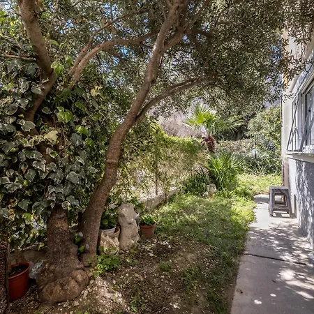 Olive Shade - Near The Apartment Split
