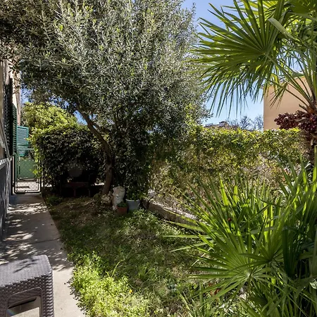 Olive Shade - Near The * 스플리트