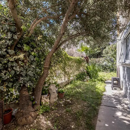 Olive Shade - Near The Lejlighed Split